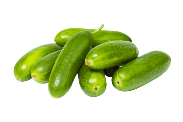 Çengelköy Salatalık